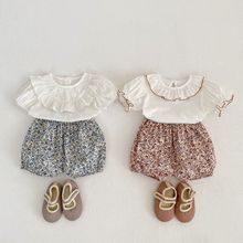 2024婴儿夏装时尚百搭棉质短袖娃娃衫+碎花短裤两件套女宝宝套装