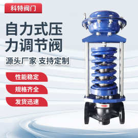 厂家直营批发不锈钢自力式压力调节阀  自力式压力微压调节阀