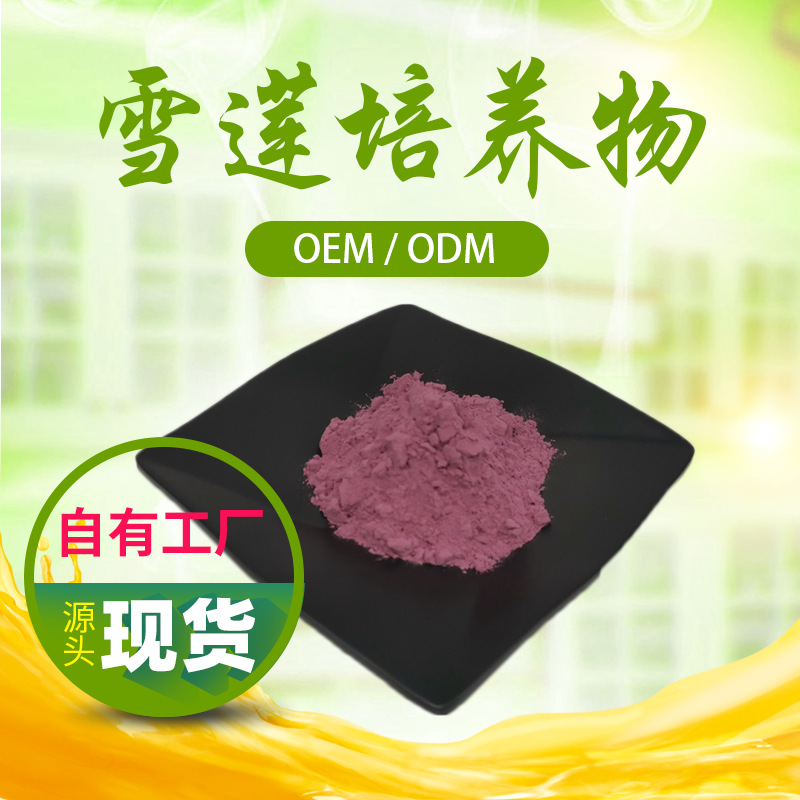 雪莲培养物99天山雪莲粉雪莲提取物雪莲花培养物新资源现货