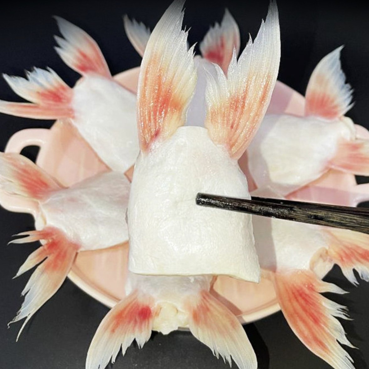 巴沙鱼翅干冰新鲜冷冻巴沙鱼鳍 水产商用