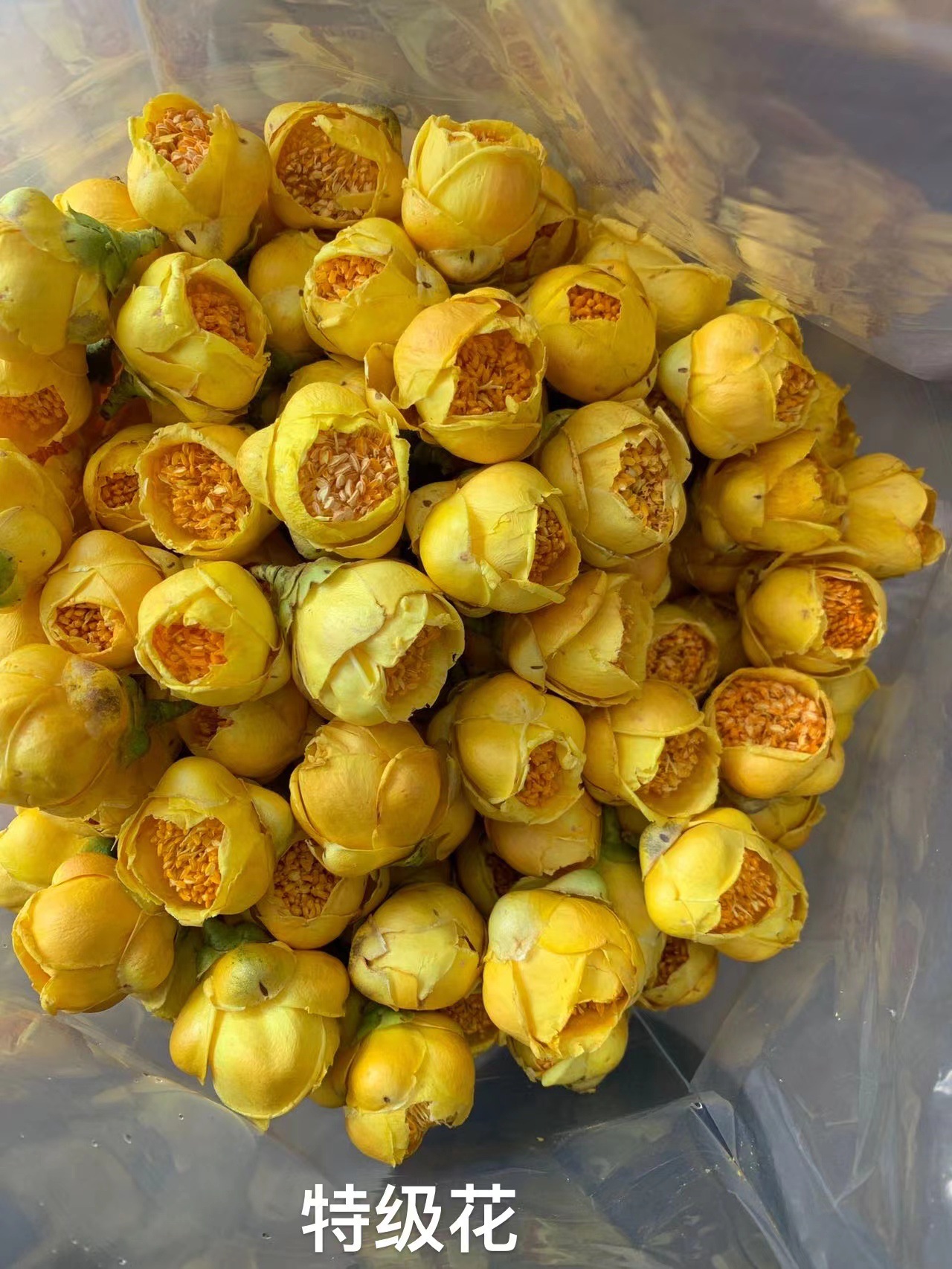 批发散装金花茶广西防城港金花茶干花现货鲤鱼嘴金花茶