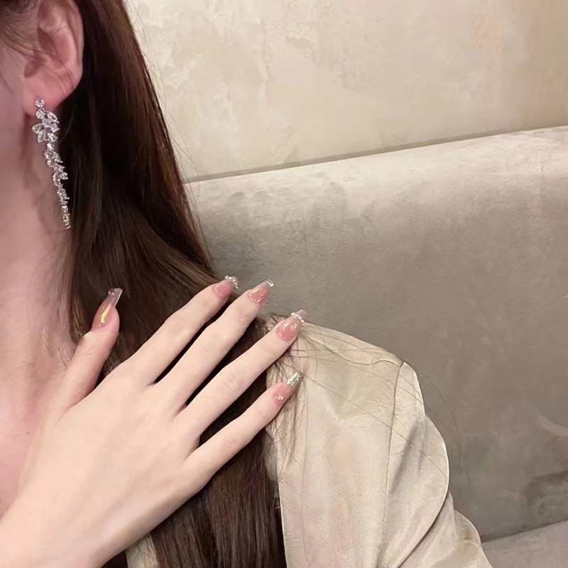 High-Grade Zircon Long Fringe Earrings Female Light Luxury Minority Design Ins Frosty Style Stud Earrings 2022 New