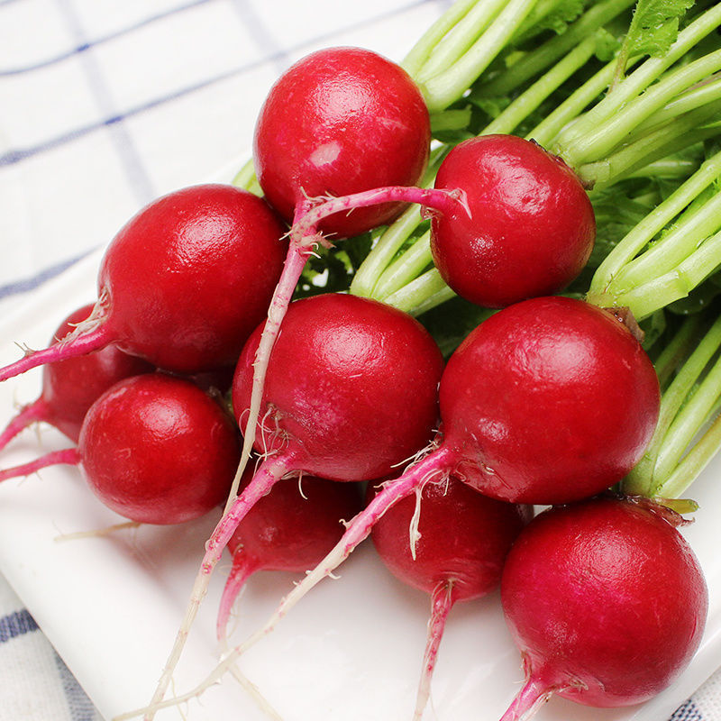 樱桃萝卜新鲜红色皮甜脆生吃东北特产蔬菜蘸酱菜小水萝卜新鲜