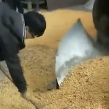 工业谷物粮食烘干机鸡粪豆渣干燥机污泥沙子烘干设备