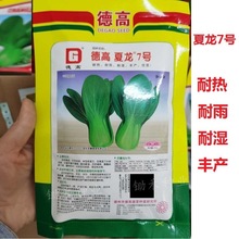 7青梗菜种子青菜种子耐热耐湿上海青四季小白菜种子蔬菜种子