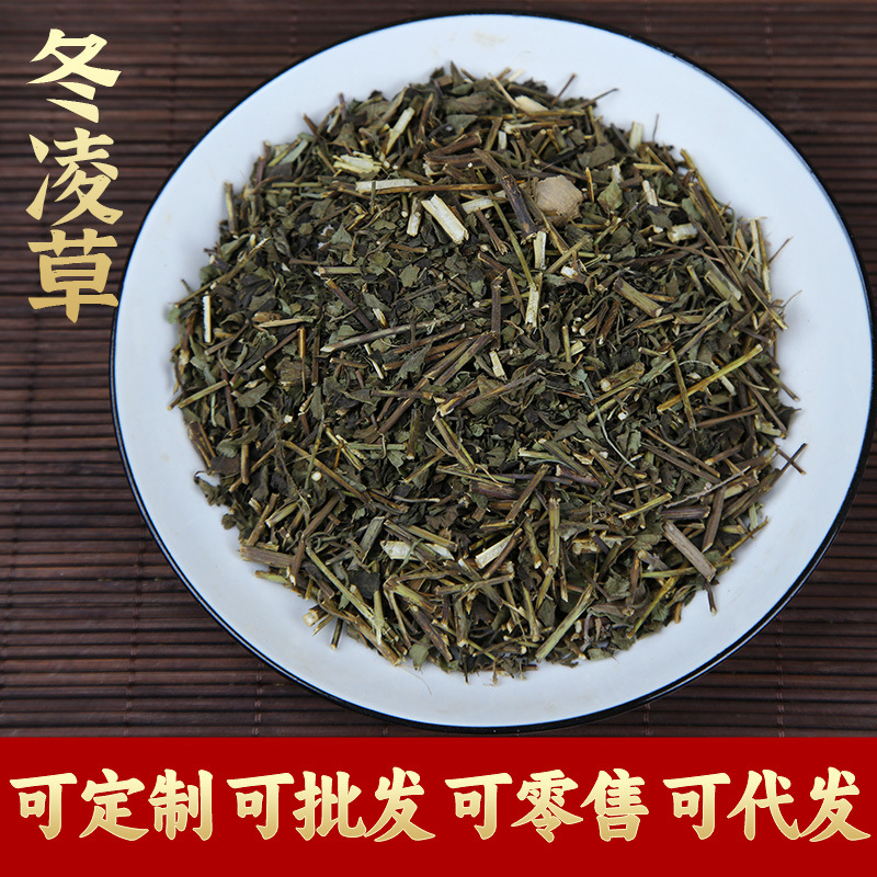 【甄选货】冬凌草中药材 新鲜王屋山济源冬凌咽喉草 泡水 冰凌草