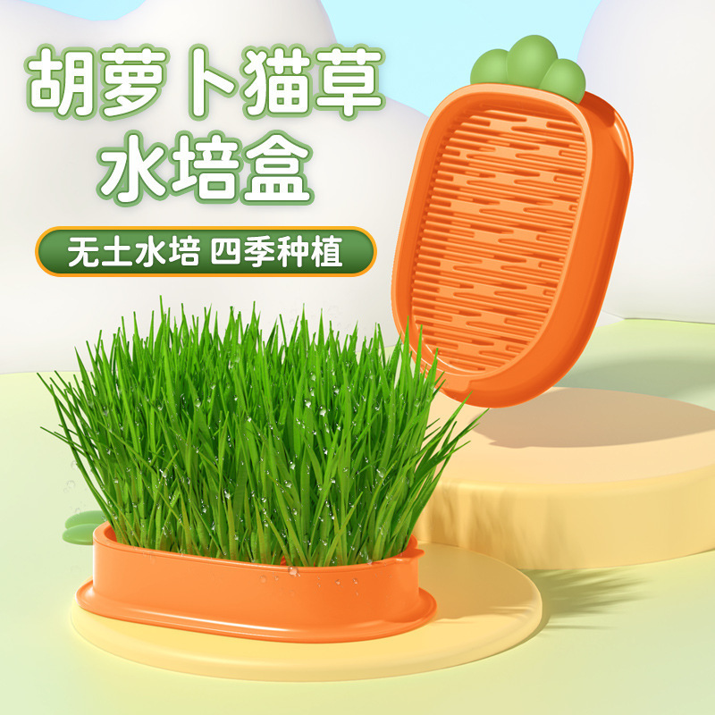 new carrot cat grass potted grass wheat seed seedling tray catnip snack soilless hydroponic box
