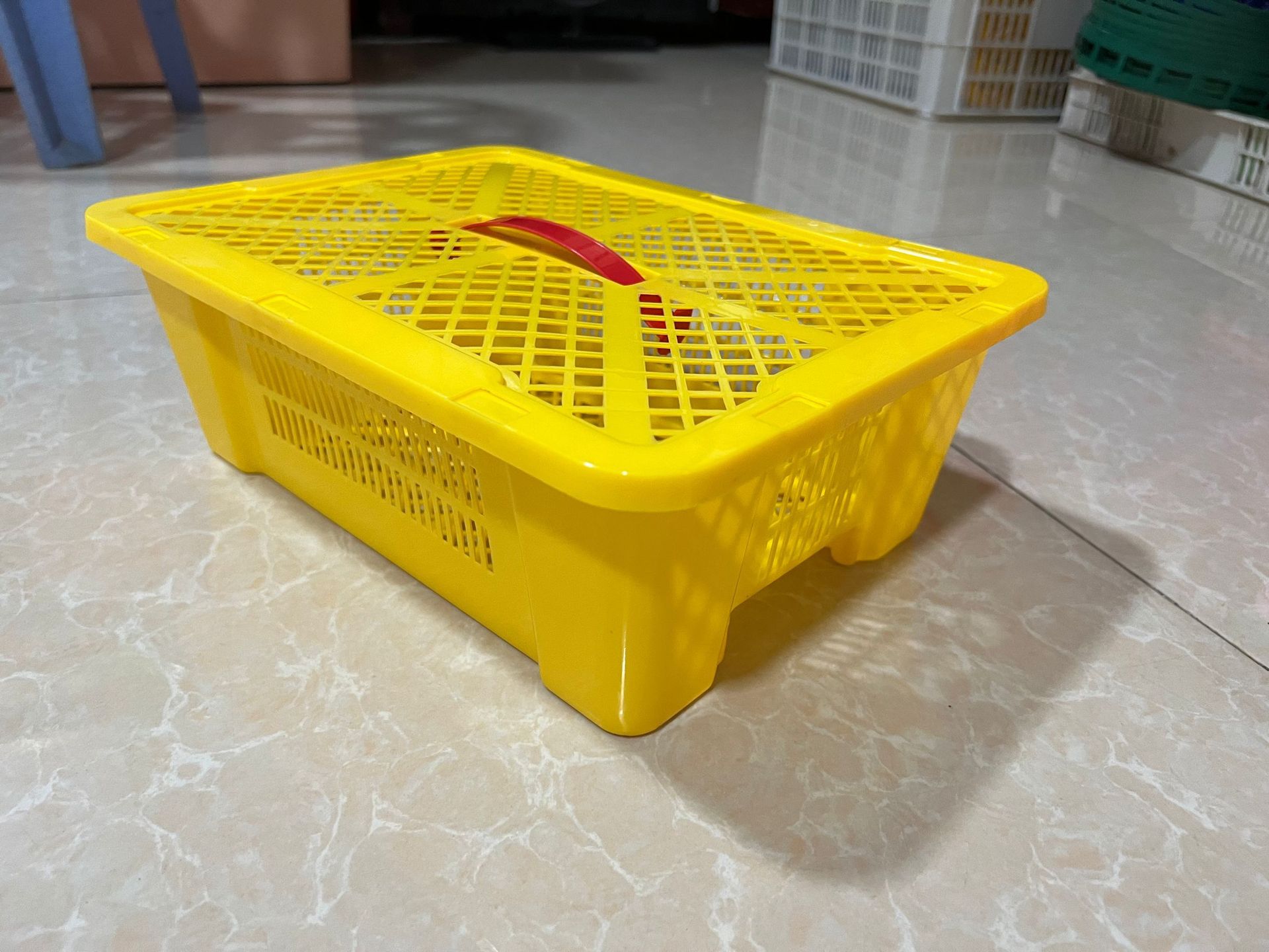 厂家批发砂糖橘篮子塑料6斤提篮桂圆青枣核桃圣女果礼品篮