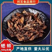 蟋蟀干中药材秋虫将军干蛐蛐干夜鸣虫干蟋蟀粉蟋摔中草药500g批发