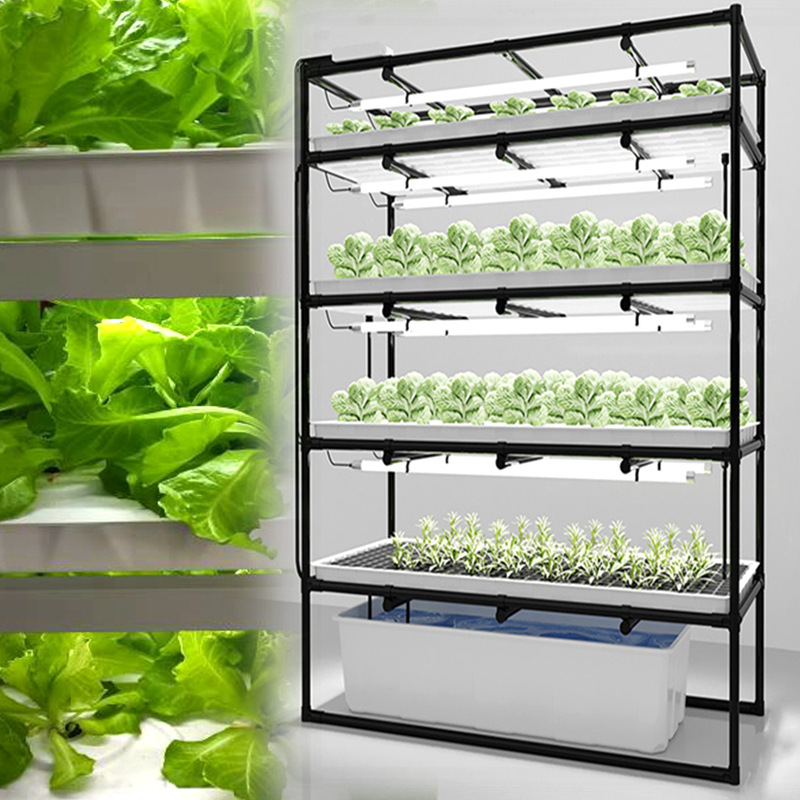 种菜机无土栽培系统种菜盆  室内水培蔬菜盆家用植物架智能种植机