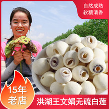 莲子干货去芯洪湖王文娟家白莲500g湖北特产2024年磨皮白莲非湘潭