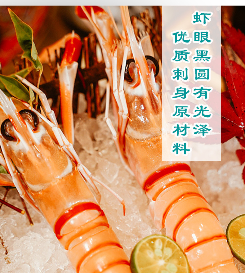 新西兰进口鳌虾斯干比小龙虾1号2号3号scampi盒装高品质日料刺身