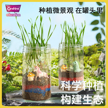 onshine 跨境热款小学生种草种花培养罐透明小花盆种植花草生态园
