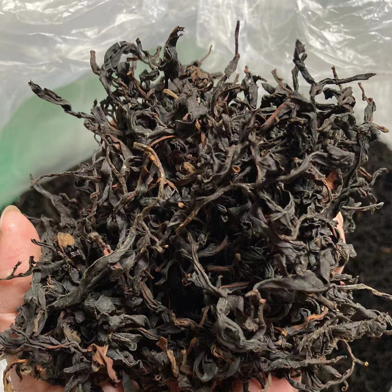 批发2023年云南勐库大雪山单株古树晒红 单株红茶 一颗树采摘