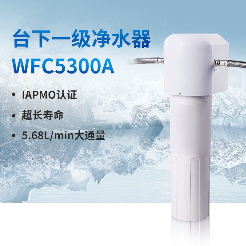 前置净水器加工定制WFS5300A 厨房冰箱滤芯大通量台下一级净水器