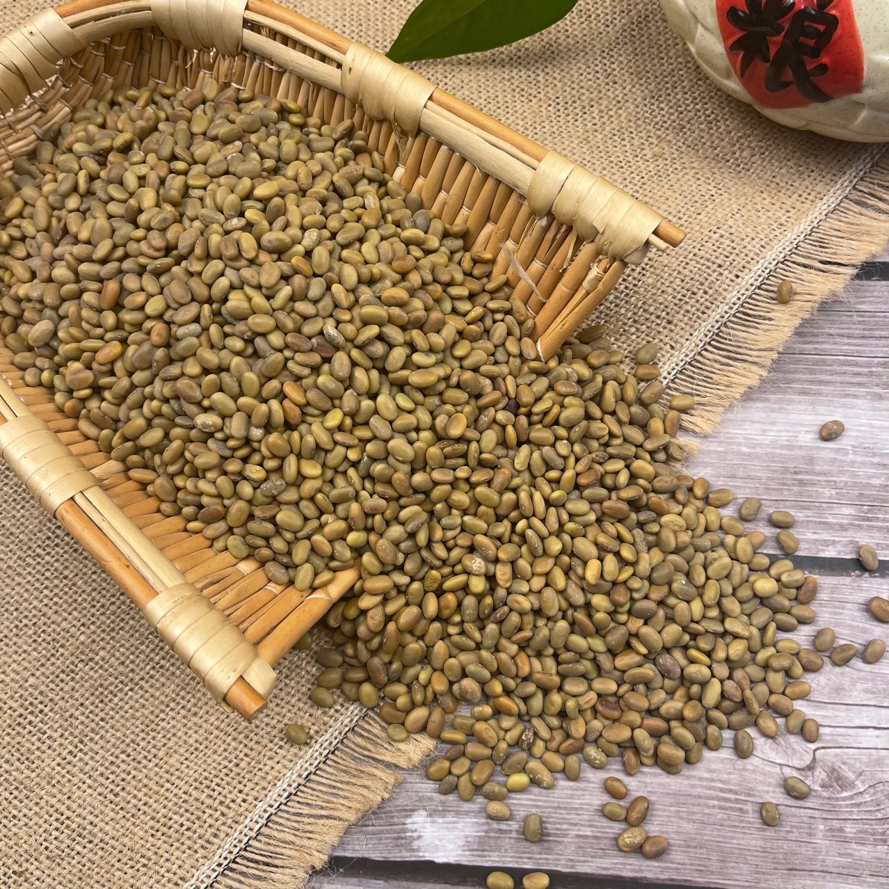 批发 茶豆种子芽苗菜种子水培蔬菜 种植茶豆芽 豆苗用可代替黑豆