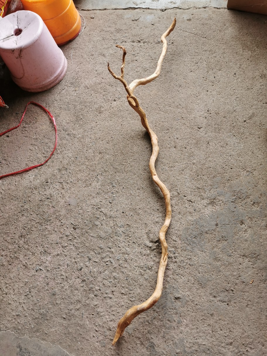 造景雨林长枝条 长树根 单枝杜鹃根 软装假树 根雕原生态鱼缸造景