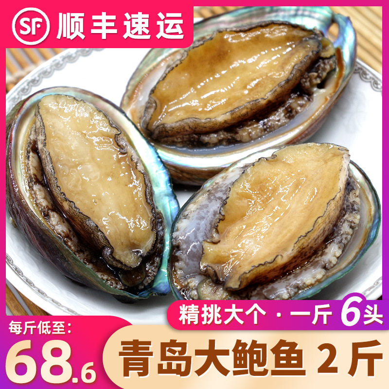 6头青岛大鲍鱼新鲜海捕活冻大贝类活体海鲜水产鲜活冷冻鲍鱼2斤