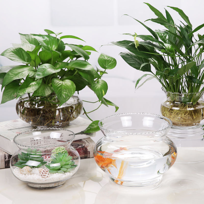 桌面鱼缸创意水族箱生态圆形花边形玻璃缸迷你小型造景水培花瓶