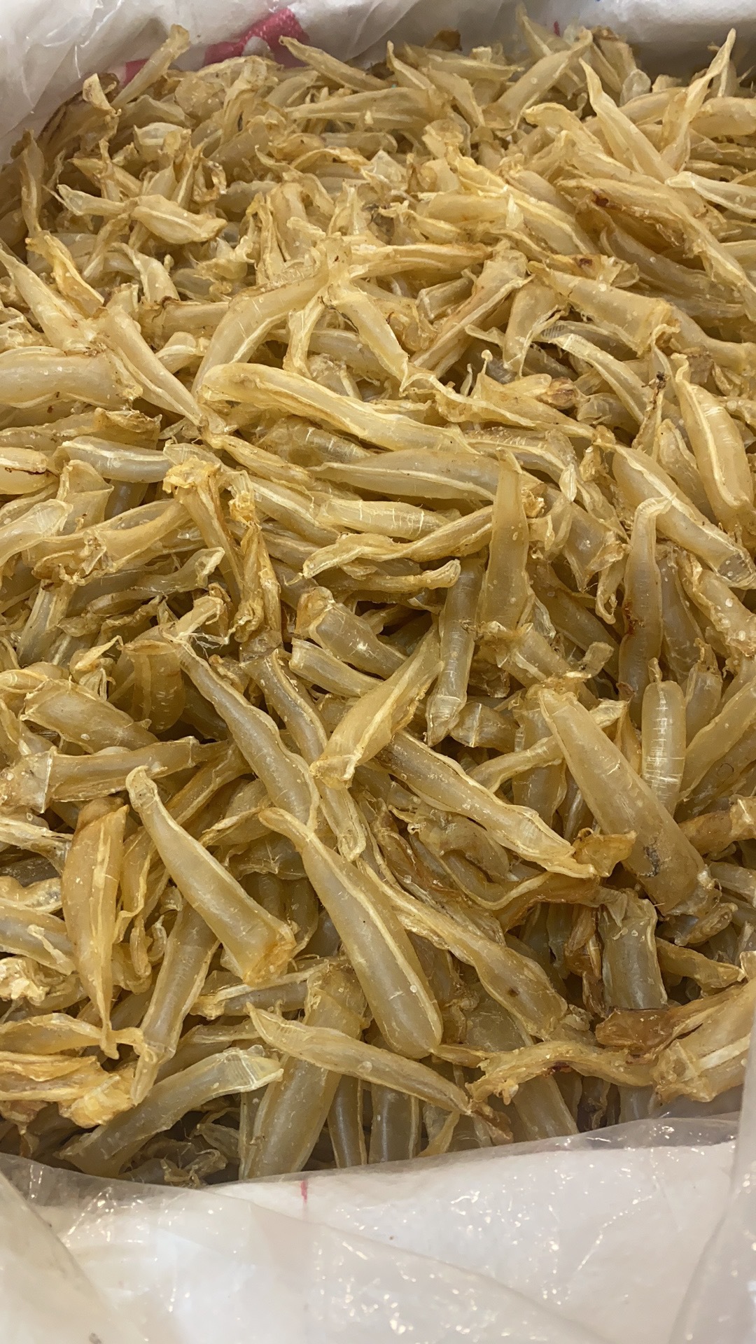 金龙筒胶鳘鱼胶金龙花胶筒鱼胶母肚公肚金龙鱼胶花胶干货海味批发