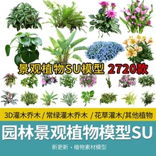 植物乔木2D3D园林景观模型库sketchup草图花草树木大师灌木花卉SU