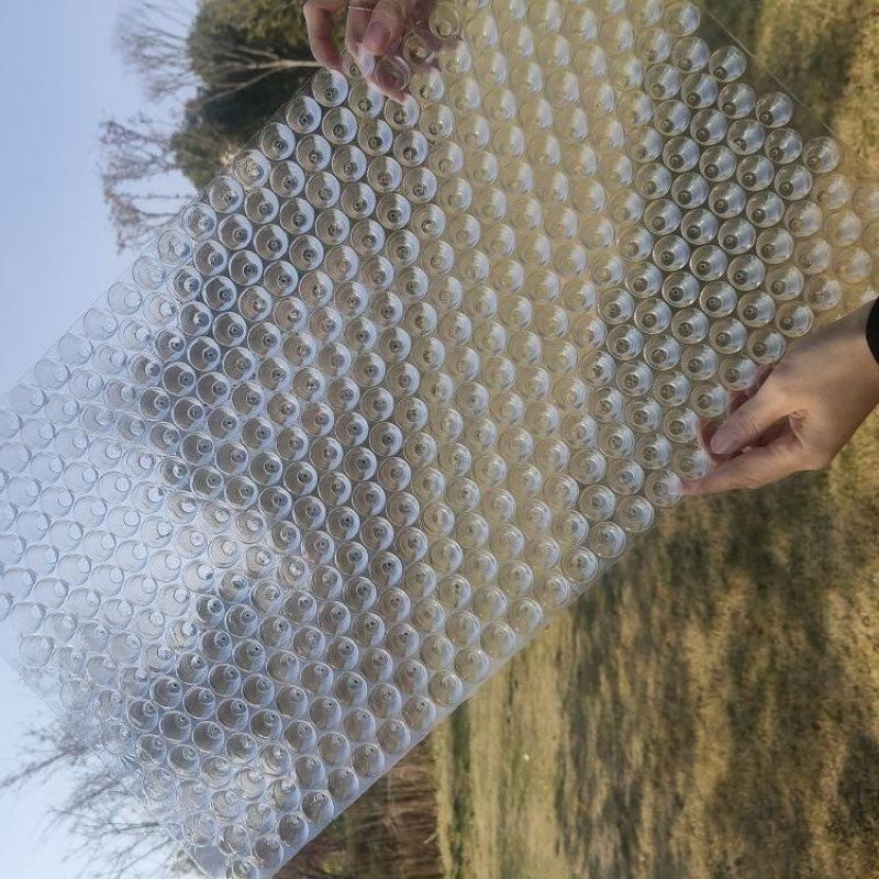 育苗盘批发手抛育秧盘水稻人工抛秧晚稻塑料透明434孔353孔561孔