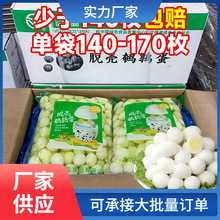 清水鹌鹑蛋商用新鲜去壳5.4斤*6袋餐饮装火锅串串烧烤熟食材