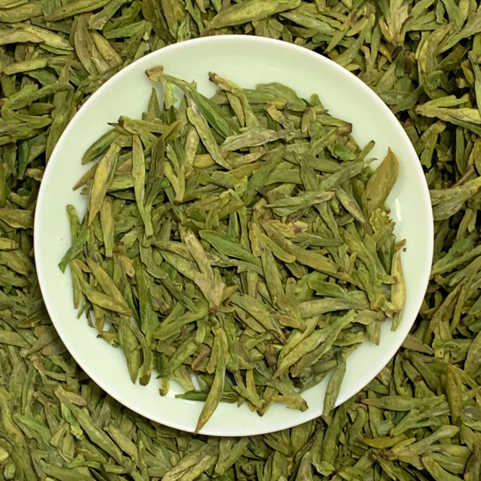 2024新茶上市明前浙江绿茶杭何茶叶头采浓香型春茶散装批发500g