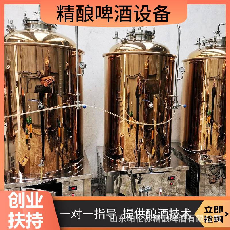 散装啤酒加工设备 啤酒酿造机器 精酿啤酒机器设备全套 啤酒糖化