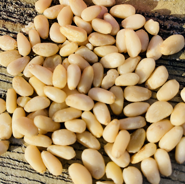 散装东北俄罗斯晾晒野雪松仁子原味生松子250g坚果零食坚果新货