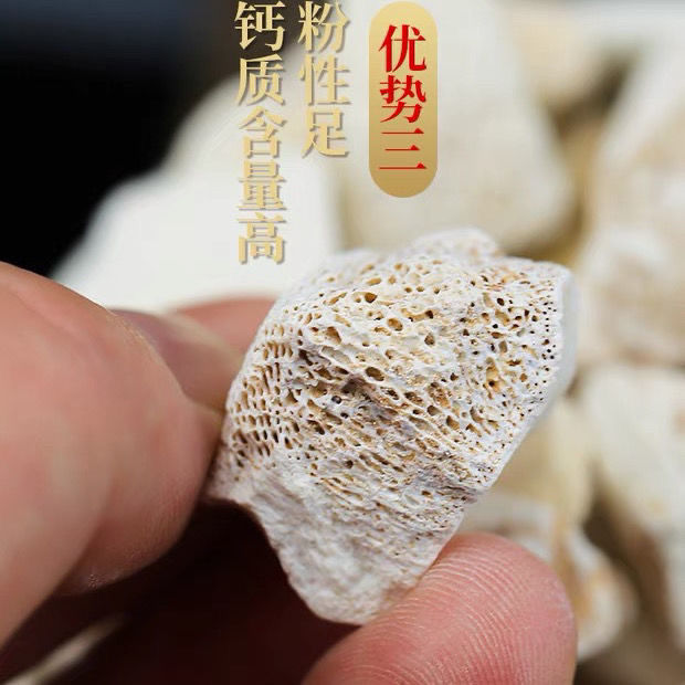 矿石生龙骨 煅龙骨土 龙骨500克包邮 龙骨批发-阿里巴巴