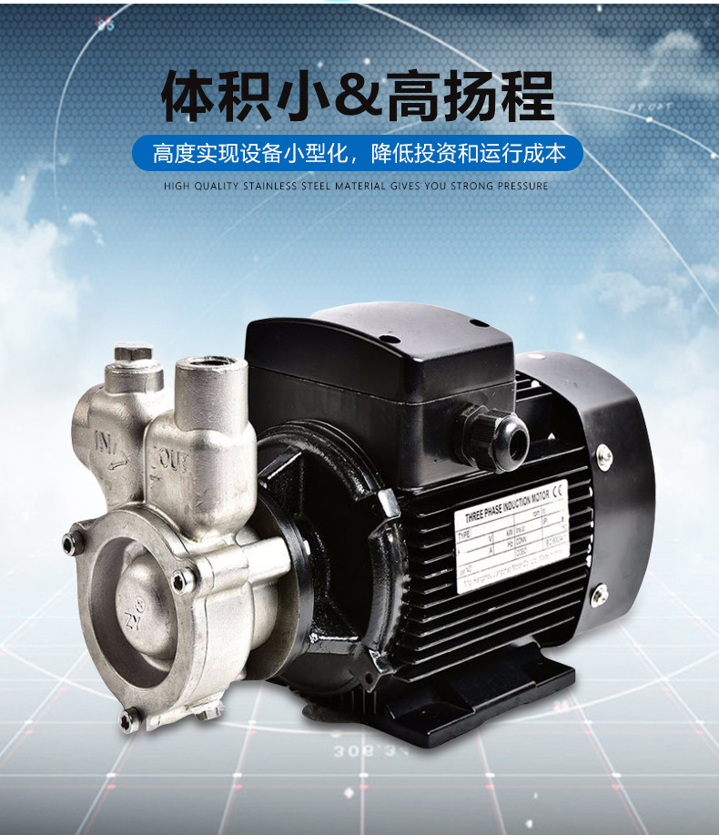 厂家提供溶气泵富氧水高浓度制取水泵污水处理气浮装置气液混合泵