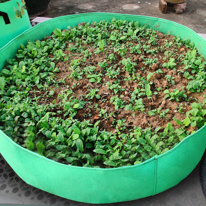 楼顶种菜箱大阳台盆无纺布种植袋种植箱家用泡沫箱独立站一件批发