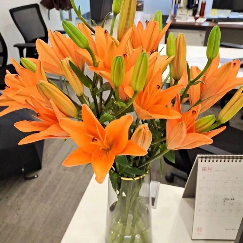 橙色亚百合云南昆明斗南鲜花基地直发花束花卉真花水养鲜梦想3头