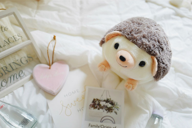 可爱毛茸茸刺猬毛绒玩具送孩子礼物情侣公仔一件代发批发定制