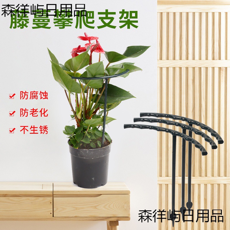 蟹爪兰支架固定撑杆花架植物花防倒伏架支撑杆盆栽绣球花卉盆架子