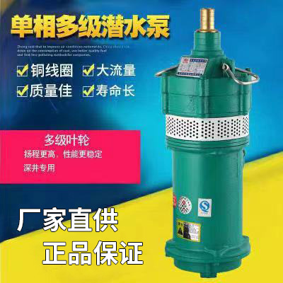 多节潜水电泵220v小型潜水泵高扬程清水泵小老鼠工地降水泵380v