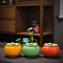 跨境新品陶瓷花盆植物专用盆栽仿真柿子创意水培小花瓶ins高颜值
