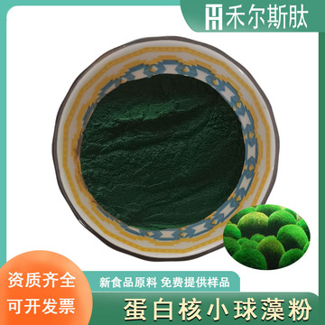 小球藻粉99%绿藻粉新食品原料蛋白核小球藻粉破壁小球藻提取物