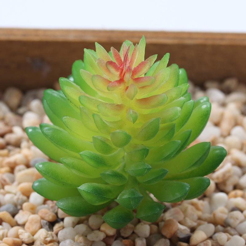 Wholesale Mini Succulent Flower Head Small Flower Arrangement Accessories Fake Succulent Plastic Flowers Decorative Plants Bonsai Greenery