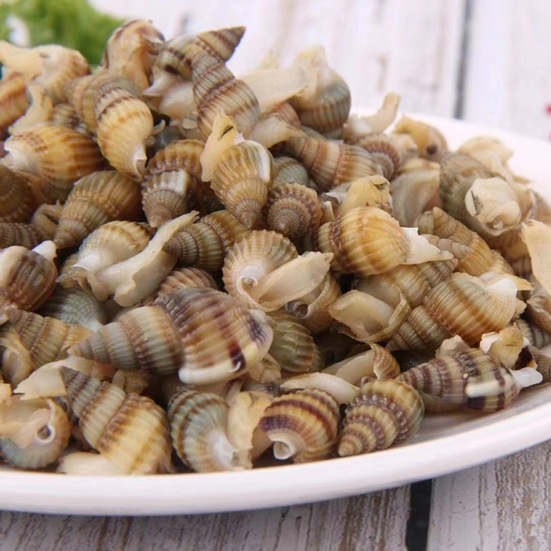 整箱10斤包邮冷冻海瓜子熟冻即食海螺丝 海锥无沙 麻辣捞汁食材小