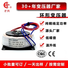 环牛厂家批发100W全铜环形变压器220V转12V24V低频隔离电源变压器