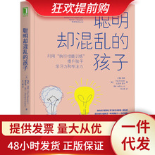 聪明却混乱的孩子利用执行技能训练提升孩子学习力和专注儿童时间