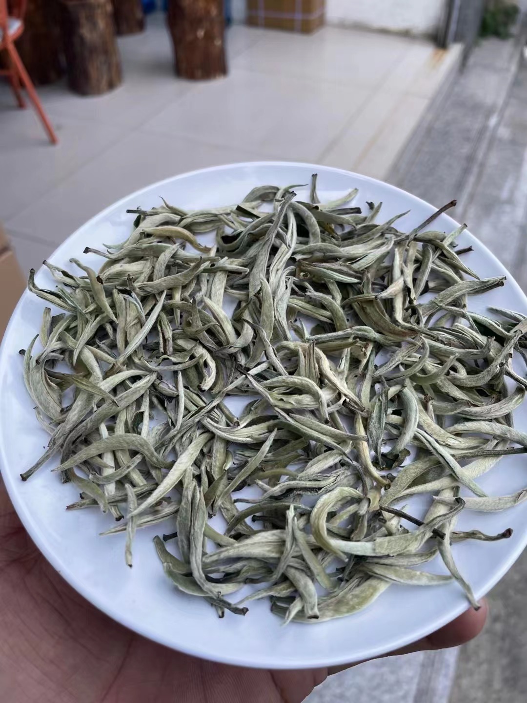 2022云南古树明前大白茶白毫银针新茶春茶景谷大白芽单芽月光白