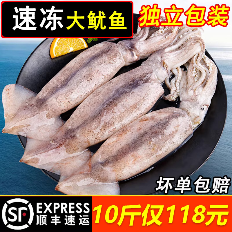 新鲜冷冻大号鱿鱼 海捕整只大鱿鱼 铁板烧烤烤串商用鱿鱼须鱿鱼头