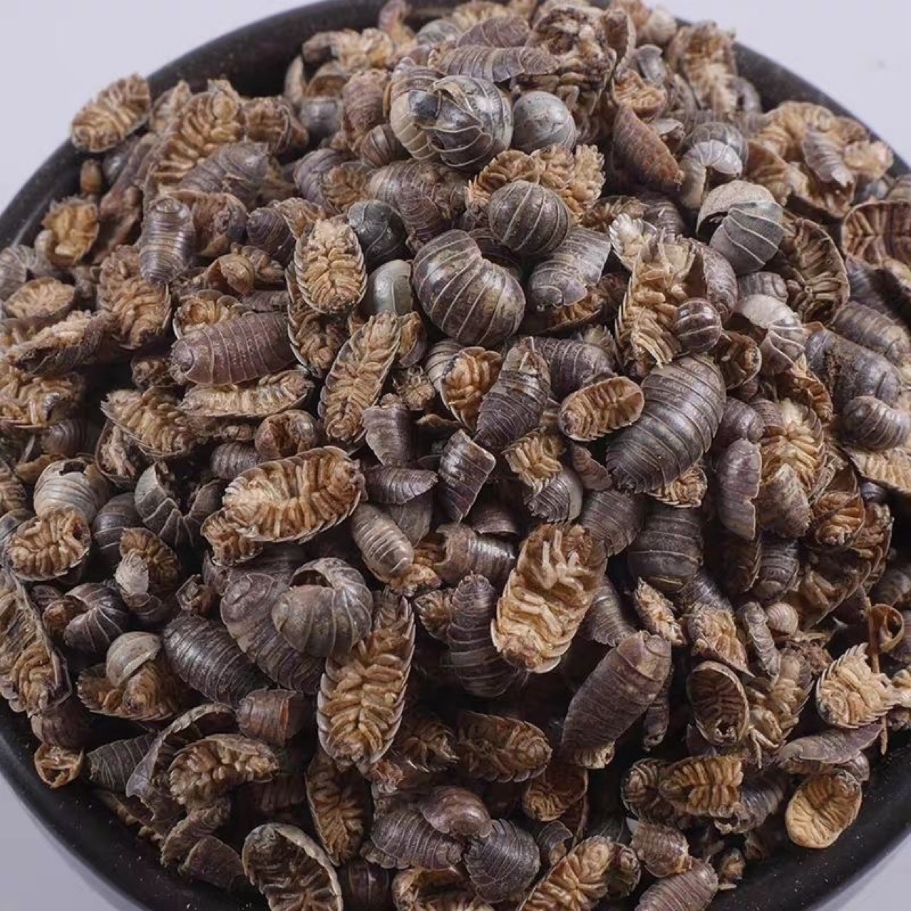 正品特级野生鼠妇虫中药材地虱婆湿虫潮虫团子西瓜虫干货鼠负鼠姑