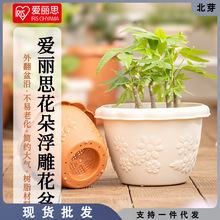 爱丽丝花盆中钵加仑植物控根创意绿萝多肉兰花塑料树脂爱丽思盆