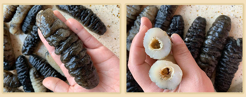 100头黑黄玉参桑岛黄肉参光参 足干淡干免刷皮 酒店水发食材 500g