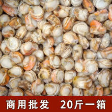 新鲜冷冻皇冠贝肉熟原汁扇贝肉大号有黄整箱10kg餐饮捞汁商用批发