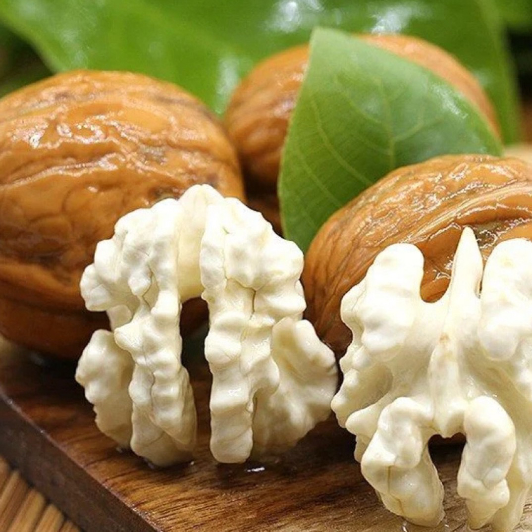 云南核桃大姚核桃